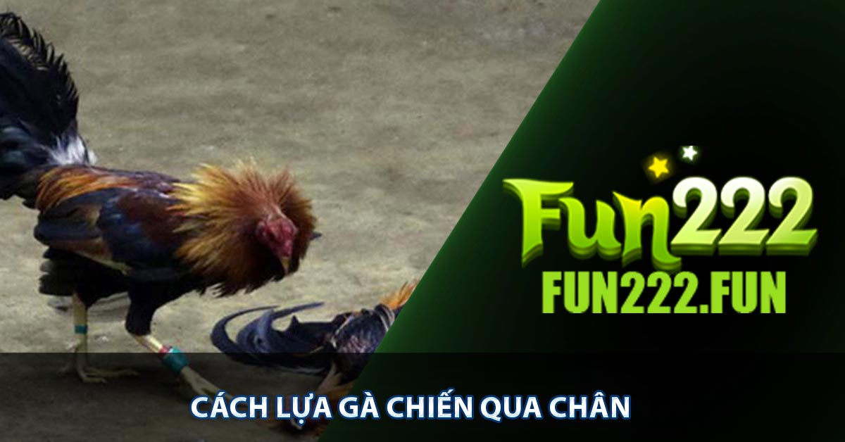 Cách lựa gà chiến qua chân